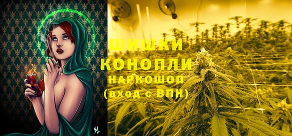стафф Карпинск