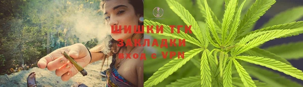 стафф Карпинск