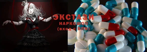 стафф Карпинск