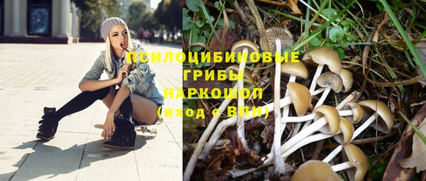 скорость Карталы