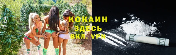 стафф Карпинск