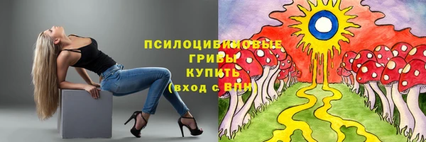 мяу мяу мука Касимов