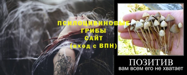 стафф Карпинск