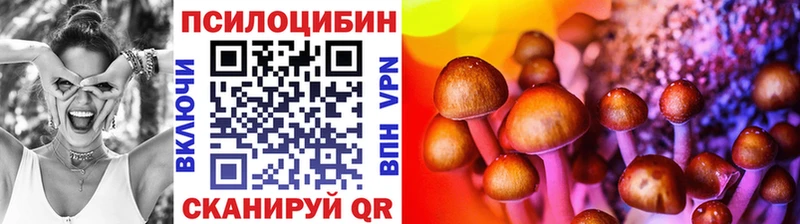 Псилоцибиновые грибы Cubensis  Корсаков 